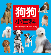 狗狗小百科